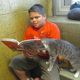 Illustration for article titled Kitties. Books. Kitties With Books, and Also Children.